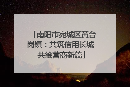 南阳市宛城区黄台岗镇：共筑信用长城 共绘营商新篇