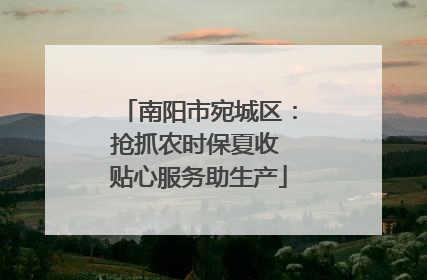 南阳市宛城区：抢抓农时保夏收 贴心服务助生产