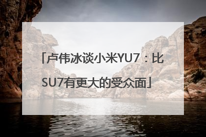 卢伟冰谈小米YU7：比SU7有更大的受众面