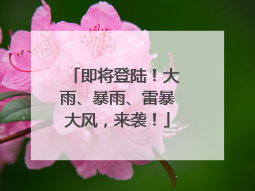 即将登陆！大雨、暴雨、雷暴大风，来袭！
