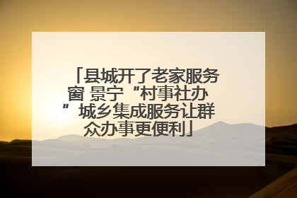 县城开了老家服务窗 景宁“村事社办”城乡集成服务让群众办事更便利
