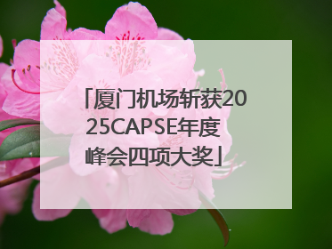厦门机场斩获2025CAPSE年度峰会四项大奖