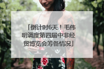 倒计时6天！毛伟明调度第四届中非经贸博览会筹备情况