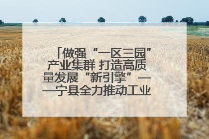 做强“一区三园”产业集群 打造高质量发展“新引擎”——宁县全力推动工业经济提质增效