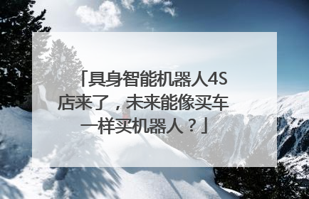 具身智能机器人4S店来了，未来能像买车一样买机器人？
