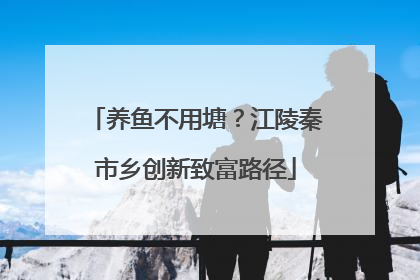 养鱼不用塘？江陵秦市乡创新致富路径