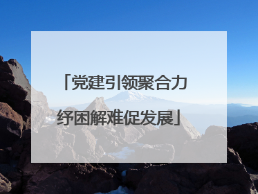 党建引领聚合力 纾困解难促发展