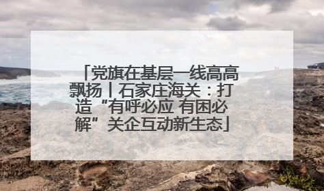 党旗在基层一线高高飘扬丨石家庄海关：打造“有呼必应 有困必解”关企互动新生态