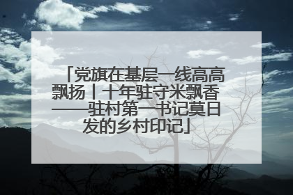 党旗在基层一线高高飘扬丨十年驻守米飘香——驻村第一书记莫日发的乡村印记