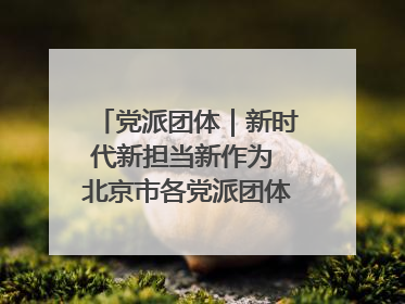 党派团体｜新时代新担当新作为 北京市各党派团体这么干！