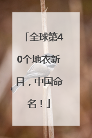 全球第40个地衣新目，中国命名！