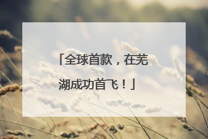 全球首款，在芜湖成功首飞！