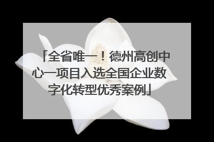全省唯一！德州高创中心一项目入选全国企业数字化转型优秀案例