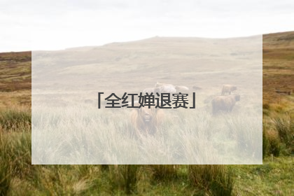 全红婵退赛