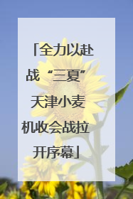 全力以赴战“三夏” 天津小麦机收会战拉开序幕
