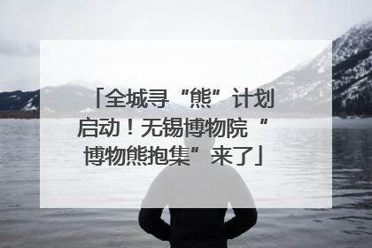 全城寻“熊”计划启动！无锡博物院“博物熊抱集”来了
