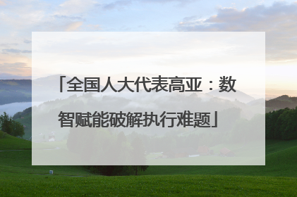 全国人大代表高亚：数智赋能破解执行难题