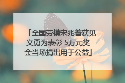 全国劳模宋兆普获见义勇为表彰 5万元奖金当场捐出用于公益