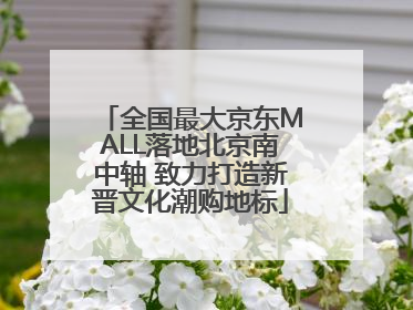 全国最大京东MALL落地北京南中轴 致力打造新晋文化潮购地标