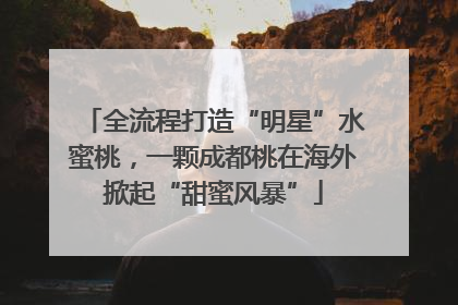 全流程打造“明星”水蜜桃，一颗成都桃在海外掀起“甜蜜风暴”