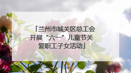 兰州市城关区总工会开展“六一”儿童节关爱职工子女活动