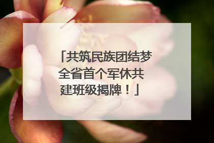 共筑民族团结梦 全省首个军休共建班级揭牌！