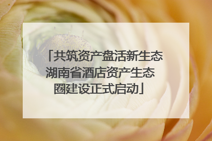 共筑资产盘活新生态 湖南省酒店资产生态圈建设正式启动