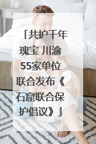 共护千年瑰宝 川渝55家单位联合发布《石窟联合保护倡议》
