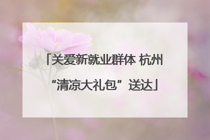 关爱新就业群体 杭州“清凉大礼包”送达