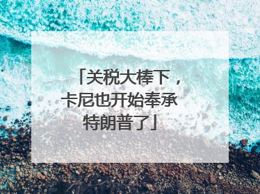 关税大棒下，卡尼也开始奉承特朗普了