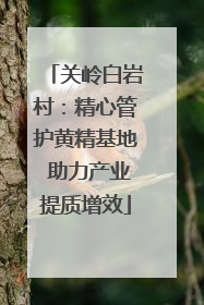 关岭白岩村：精心管护黄精基地 助力产业提质增效
