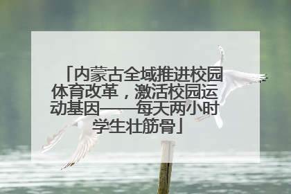 内蒙古全域推进校园体育改革，激活校园运动基因——每天两小时 学生壮筋骨