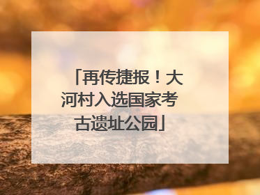 再传捷报！大河村入选国家考古遗址公园