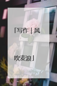写作｜风吹麦浪