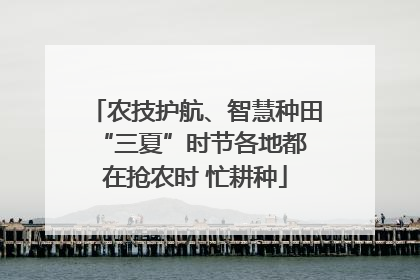 农技护航、智慧种田 “三夏”时节各地都在抢农时 忙耕种