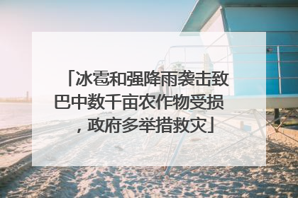 冰雹和强降雨袭击致巴中数千亩农作物受损，政府多举措救灾