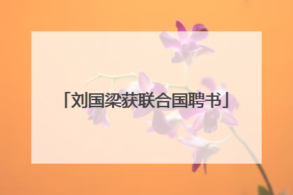 刘国梁获联合国聘书