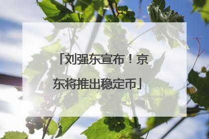 刘强东宣布！京东将推出稳定币
