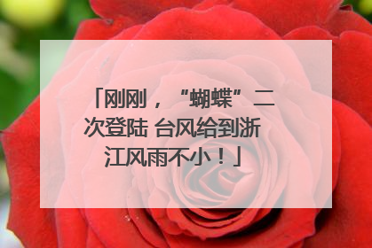 刚刚，“蝴蝶”二次登陆 台风给到浙江风雨不小！