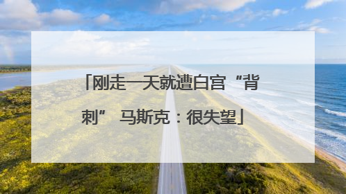 刚走一天就遭白宫“背刺” 马斯克：很失望