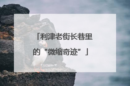 利津老街长巷里的“微缩奇迹”