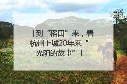 到“稻田”来，看杭州上城20年来“光阴的故事”