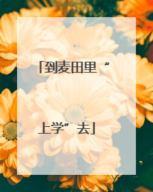 到麦田里“上学”去