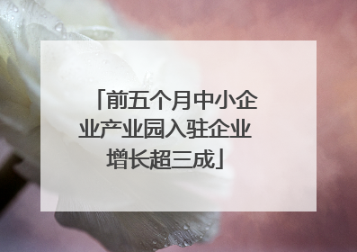 前五个月中小企业产业园入驻企业增长超三成