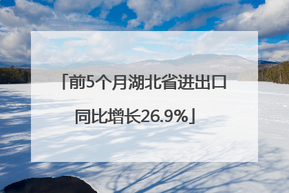 前5个月湖北省进出口同比增长26.9%