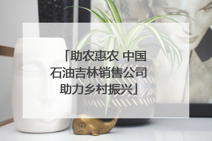 助农惠农 中国石油吉林销售公司助力乡村振兴