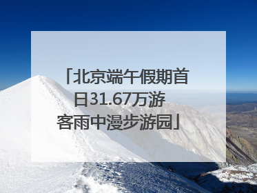 北京端午假期首日31.67万游客雨中漫步游园