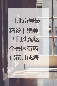 北京号最精彩｜绝美！门头沟这个景区芍药已花开成海