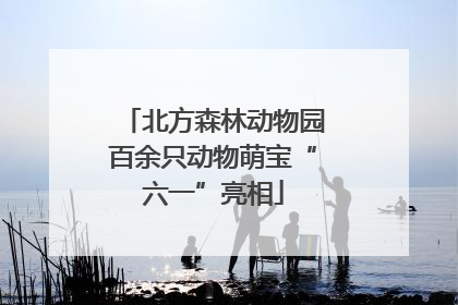 北方森林动物园百余只动物萌宝“六一”亮相