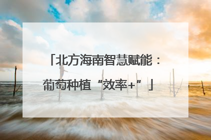 北方海南智慧赋能：葡萄种植“效率+”